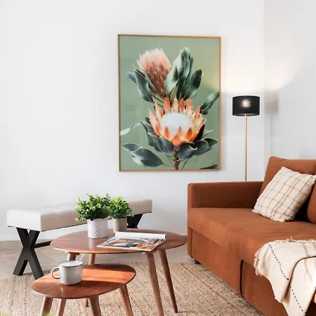 Appartement Murillo Boutique X Alohamundi
